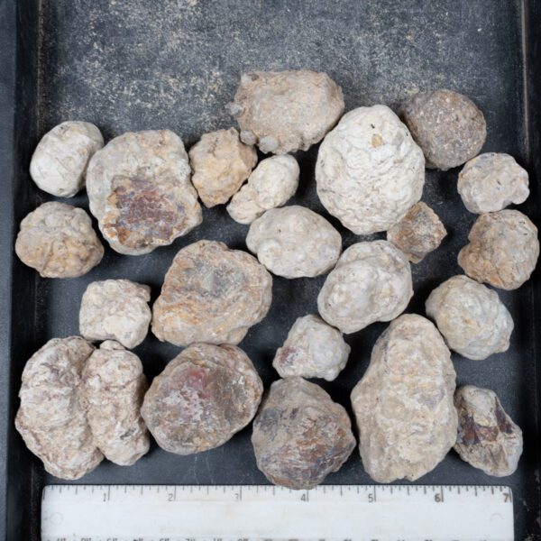 Mexican Red Hot Agate (Berrendo) Nodules