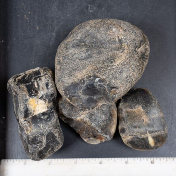 Montana Moss Agate Rough
