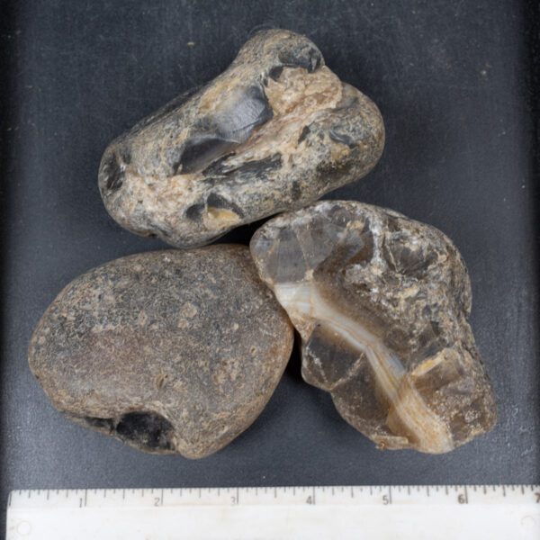 Montana Moss Agate Rough
