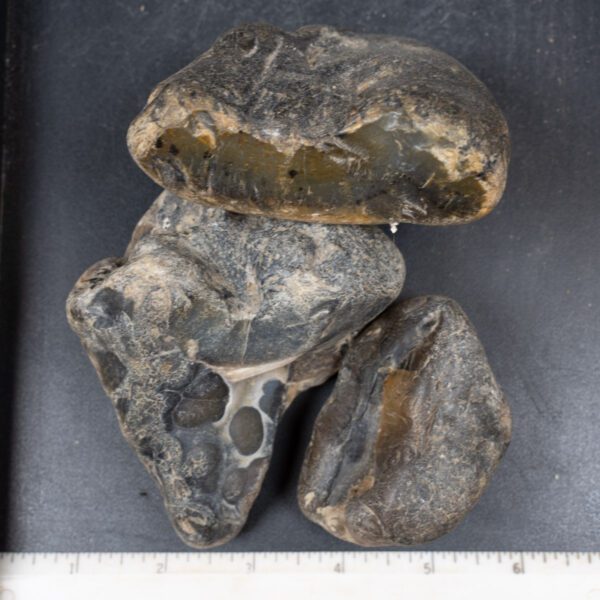 Montana Moss Agate Rough