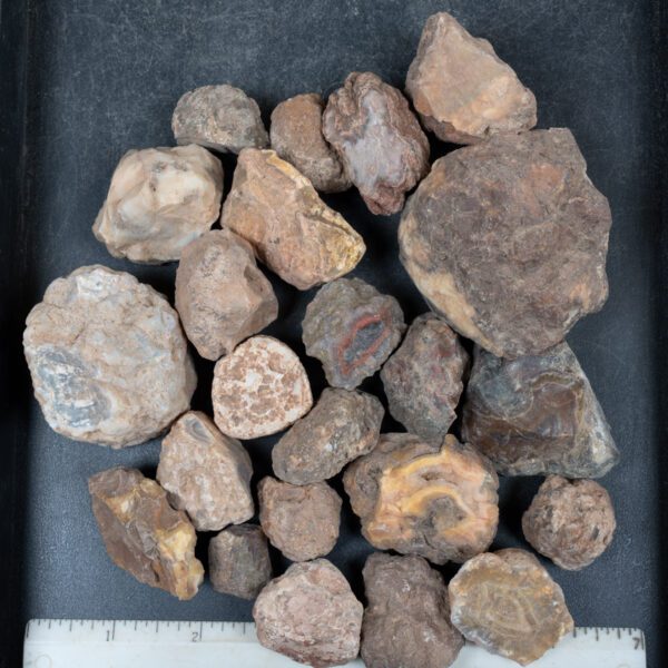 Moroccan Agate Nodules
