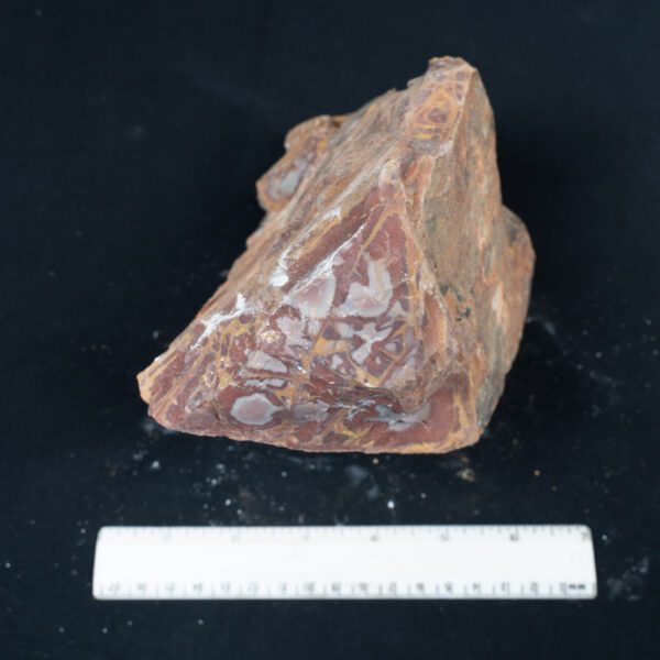 Noreena Jasper Rough