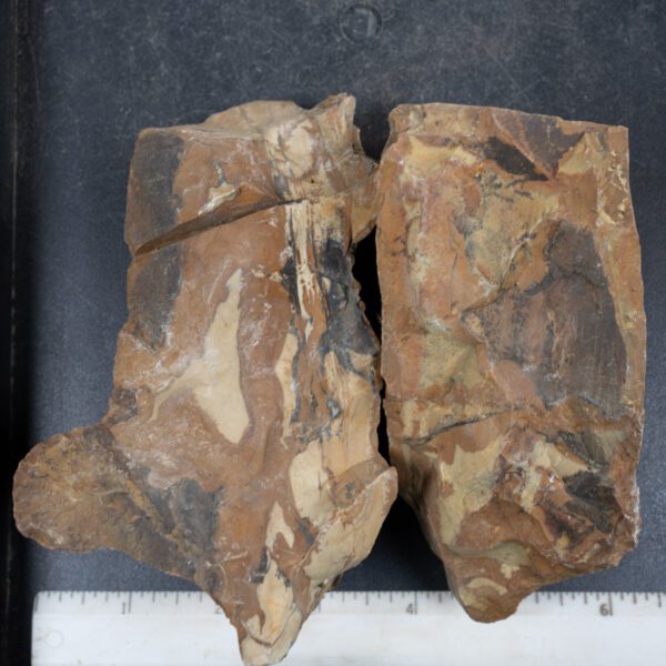 Picture Jasper Rough