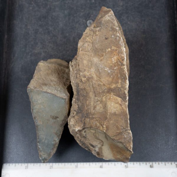 Picture Jasper Rough