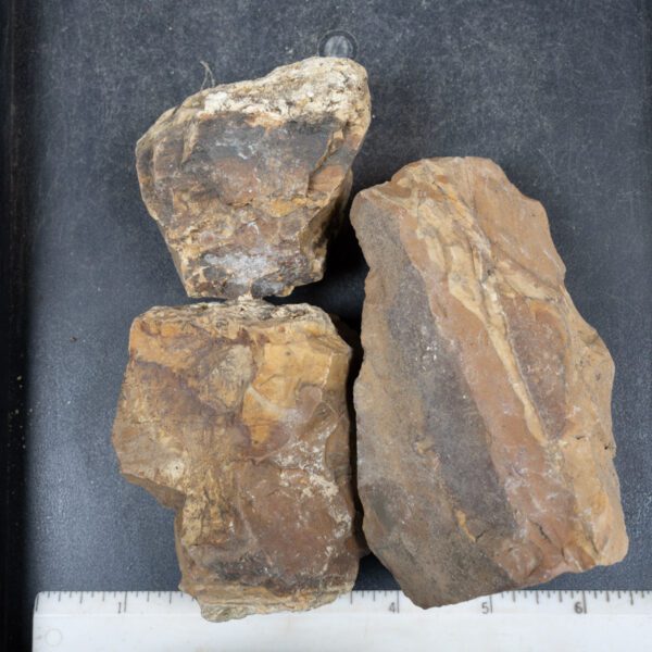 Picture Jasper Rough
