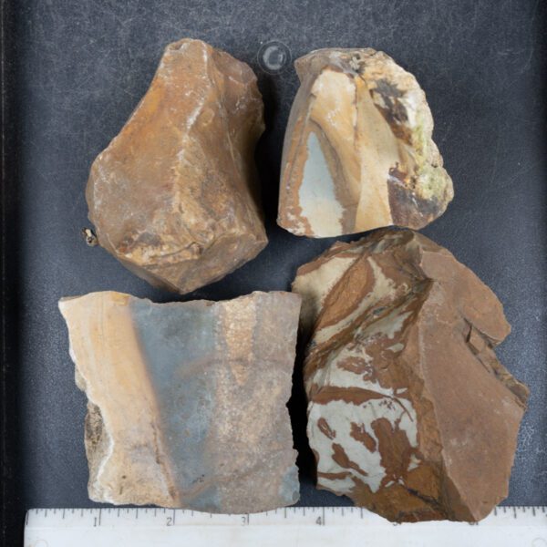Picture Jasper Rough