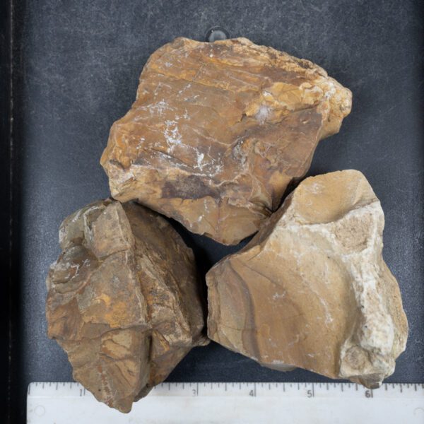 Picture Jasper Rough