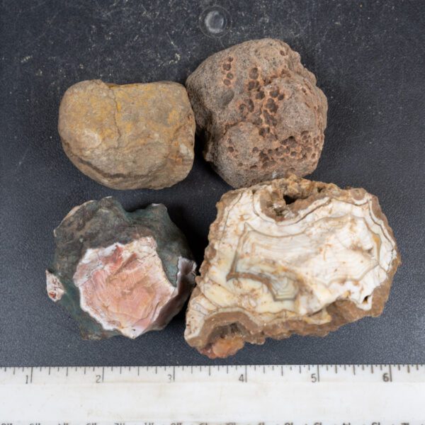 Queensland Agate Nodules