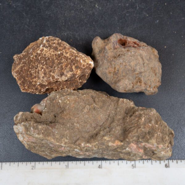 Queensland Agate Nodules
