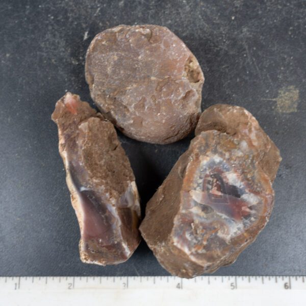 Queensland Agate Nodules