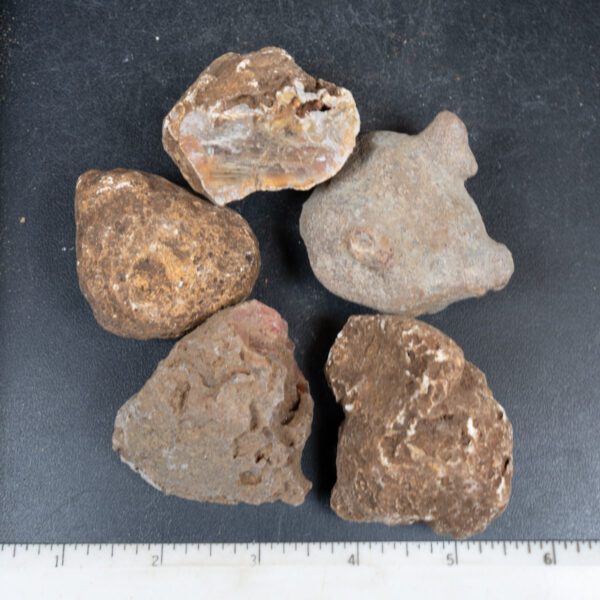 Queensland Agate Nodules