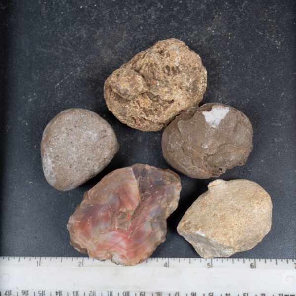 Queensland Agate Nodules
