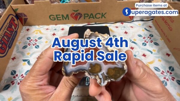 Rapid Sale - August 4th