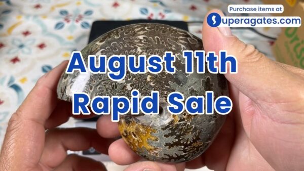 Rapid Sale - August 11th