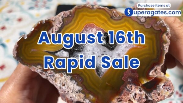 Rapid Sale - August 16th