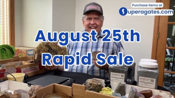 Rapid Sale - August 25th