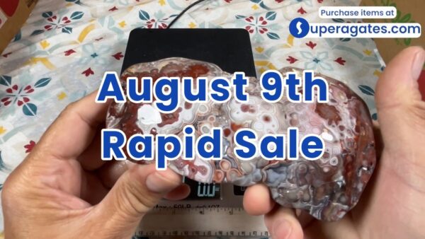 Rapid Sale - August 9th