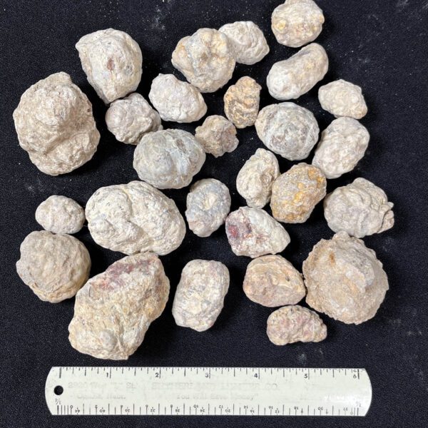 Mexican Red Hot Agate (Berrendo) Nodules