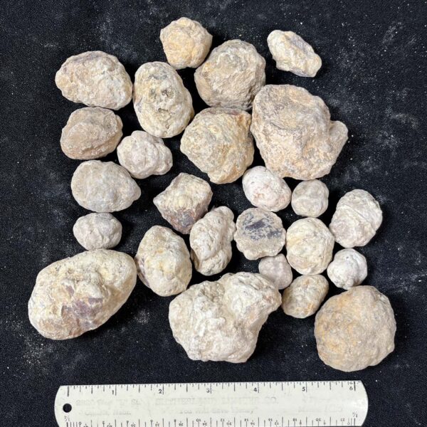 Mexican Red Hot Agate (Berrendo) Nodules