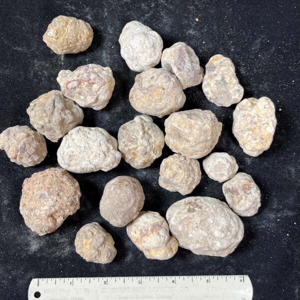 Mexican Red Hot Agate (Berrendo) Nodules