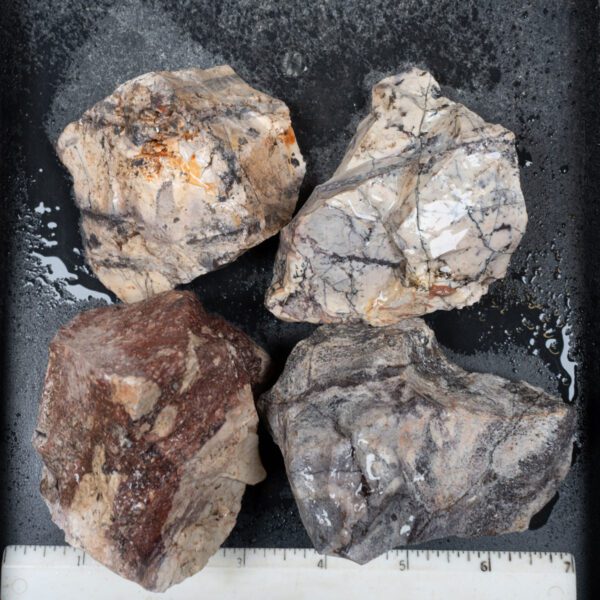 Sci-Fi (Porcelain) Jasper Rough