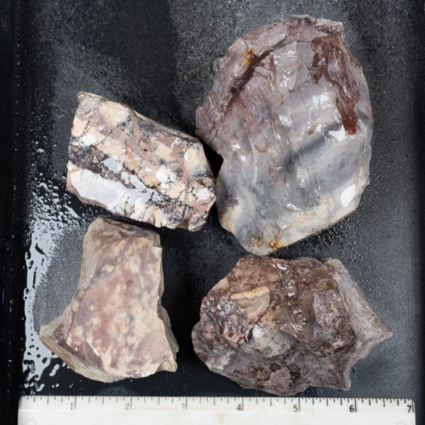 Sci-Fi (Porcelain) Jasper Rough