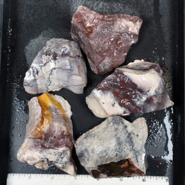 Sci-Fi (Porcelain) Jasper Rough