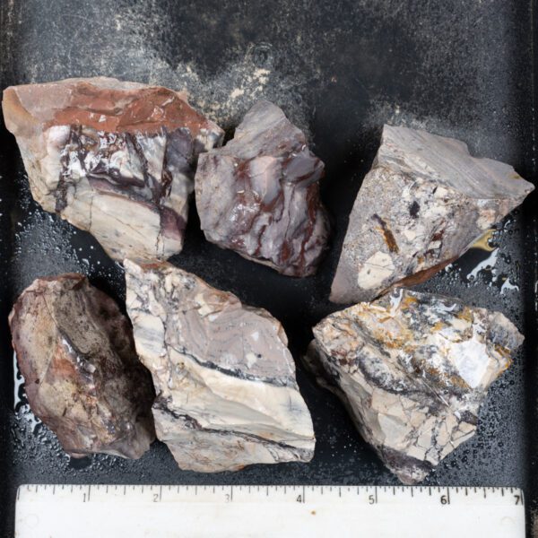 Sci-Fi (Porcelain) Jasper Rough