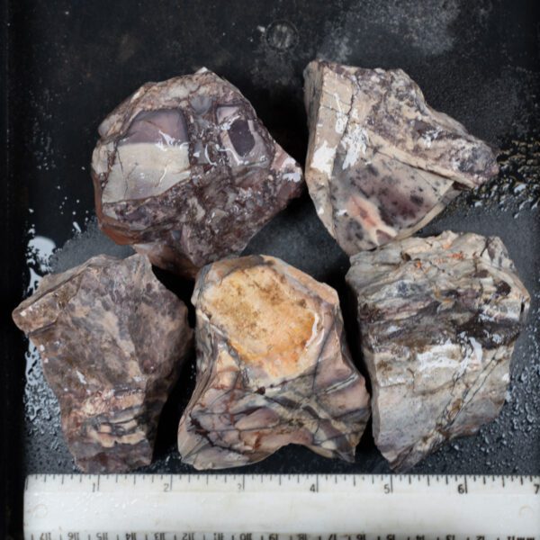 Sci-Fi (Porcelain) Jasper Rough
