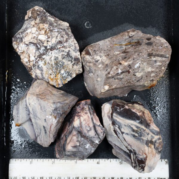 Sci-Fi (Porcelain) Jasper Rough