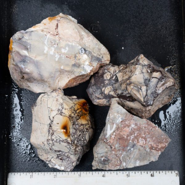 Sci-Fi (Porcelain) Jasper Rough