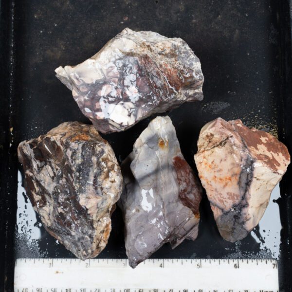 Sci-Fi (Porcelain) Jasper Rough