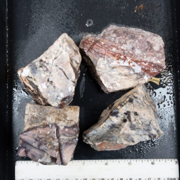 Sci-Fi (Porcelain) Jasper Rough