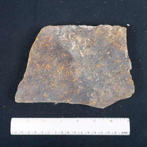 Tiger Jasper Rough