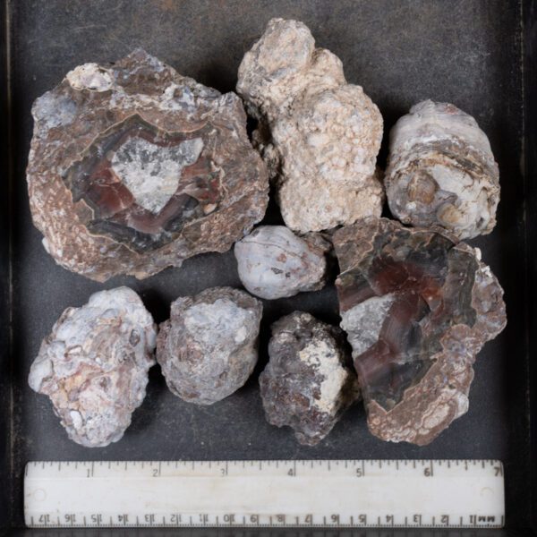 Baker Ranch Agate Nodules