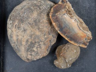 Brazilian Agate Nodules
