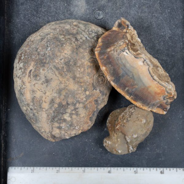 Brazilian Agate Nodules