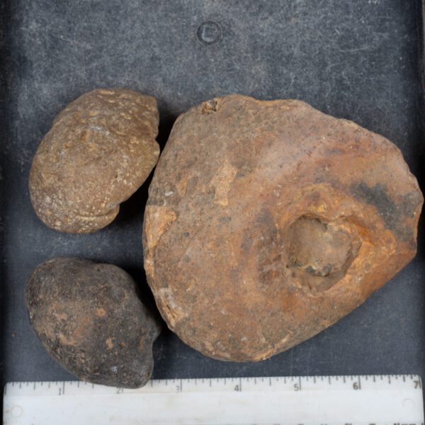 Brazilian Agate Nodules