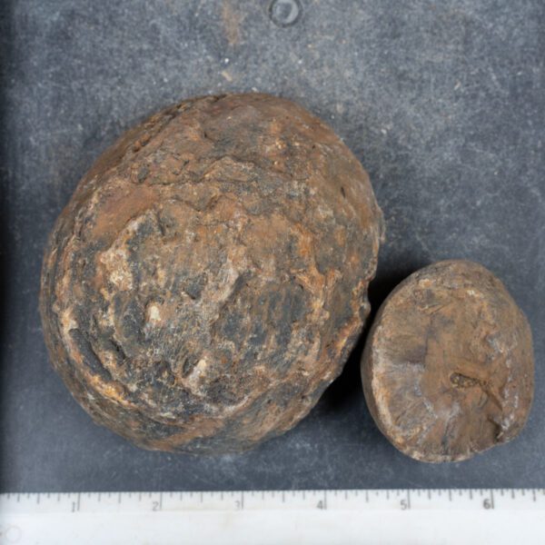 Brazilian Agate Nodules
