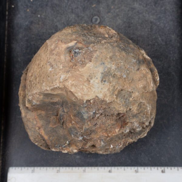 Brazilian Agate Nodules