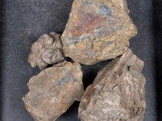 Cold Mountain Thunderegg Nodules