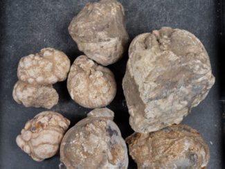 Cold Mountain Thunderegg Nodules