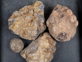 Cold Mountain Thunderegg Nodules