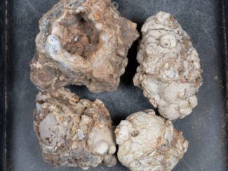 Cold Mountain Thunderegg Nodules