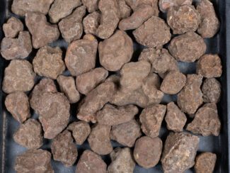 Malawi Agate Nodules