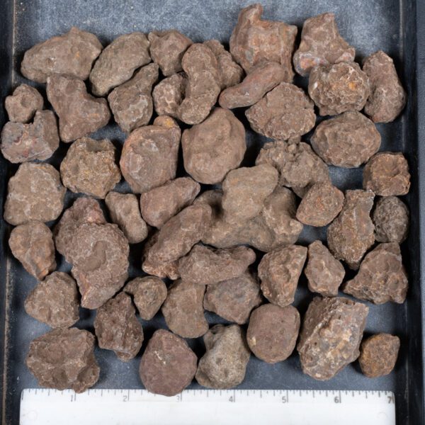Malawi Agate Nodules