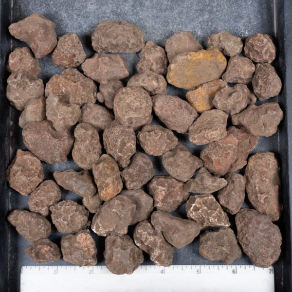 Malawi Agate Nodules