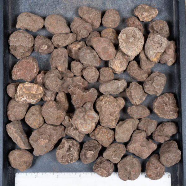 Malawi Agate Nodules