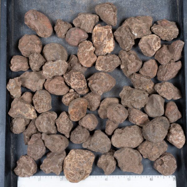 Malawi Agate Nodules