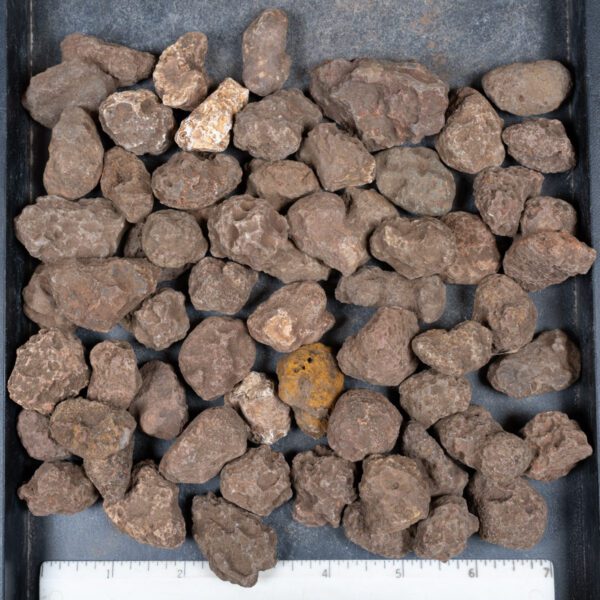Malawi Agate Nodules
